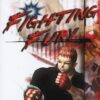 Fighting Fury - PS2