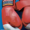Victorious Boxers Challenge - Wii