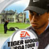 Tiger Woods PGA Tour 2003 - PS2