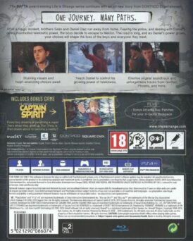 Life is Strange 2 playstation 4 bak