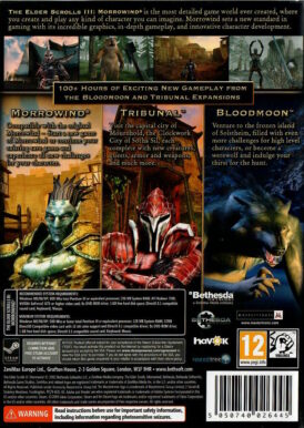 Alternative view of The Elder Scrolls III: Morrowind - Game of the year Edition - Begagnat PC spel